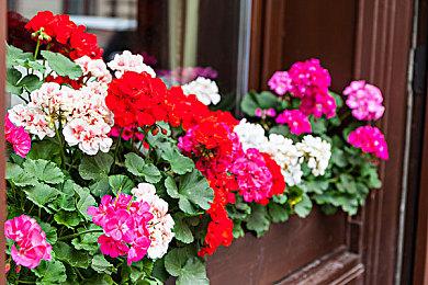 科隆：《女巫悲歌》新预告 Steam预购已开启